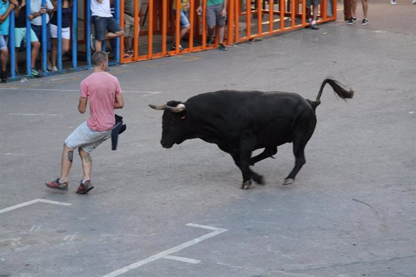 ANPBA solicita al presidente valenciano modificar el decreto de 'bous al carrer' para adecuarlo al cambio climático