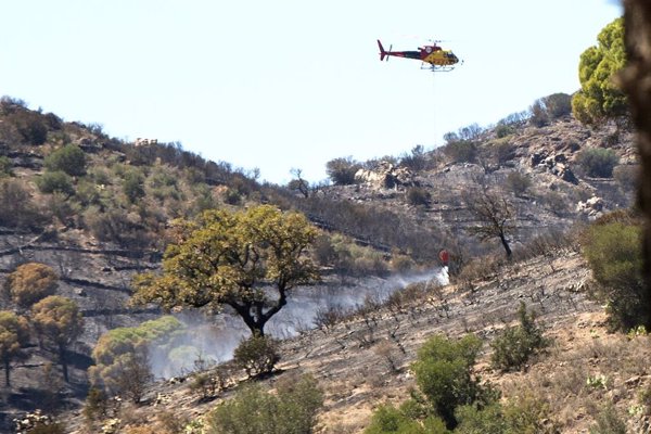 Las ADF lamentan que los Bombers no les 