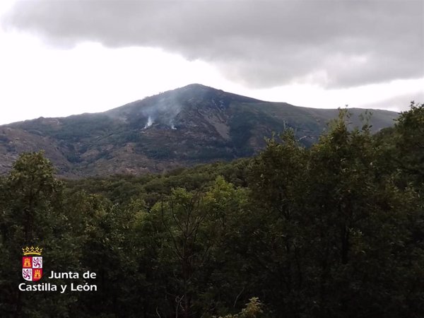 Controlado y en nivel 0 el fuego declarado este sábado en Nava del Barco (Ávila)