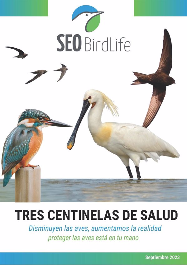 Las aves de 'El Jardín de las Delicias' de El Bosco salen del cuadro en el Prado para alertar de su declive