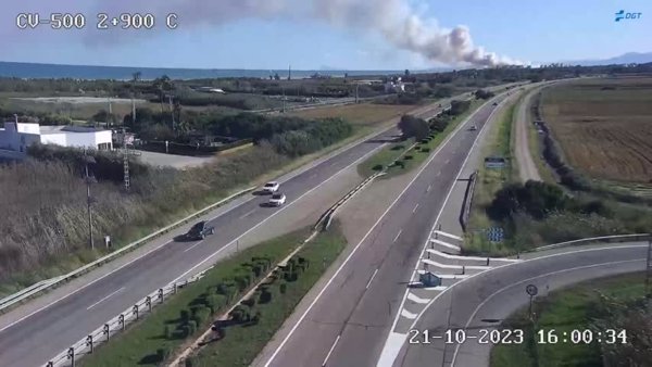 Declarado un incendio en El Saler (Valencia) que obliga a cortar la CV-500 y a evacuar un albergue