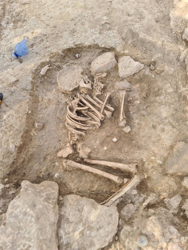 Hallan un esqueleto infantil datado en torno al 600 d.C. en el yacimiento visigodo de Valencia 