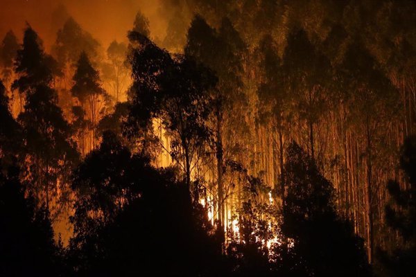 Los 27 prorrogan hasta 2027 el plazo para financiar con fondos UE el alquiler de aviones de extinción de incendios