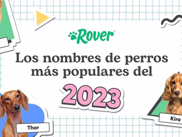 El fenómeno Barbie llega al mundo de los nombres de perro: Alan y Ken son tendencia en 2023