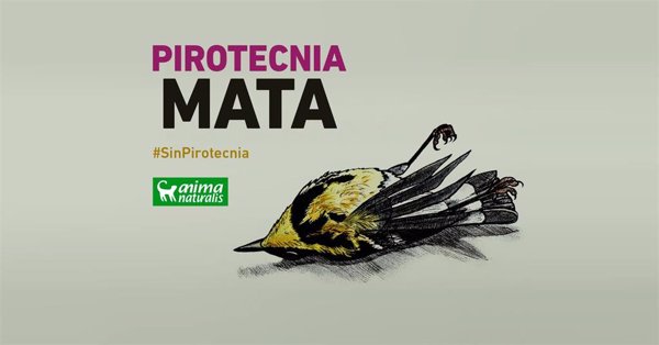 Animalistas protestarán este sábado contra la mascletà en Madrid por la afección en mascotas y personas sensibles