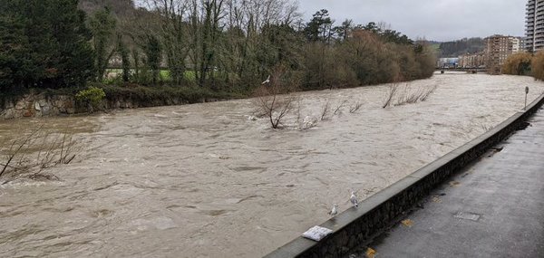 Lasarte-Oria (Guipúzcoa) activa el protocolo por riesgo de inundaciones tras superar los cuatro metros el nivel del río