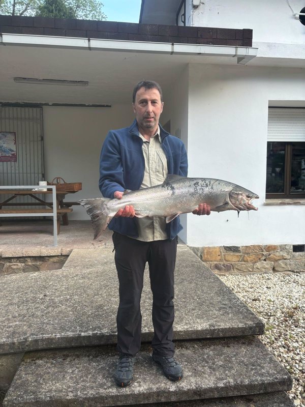 El Rincón Asturiano de Madrid se hace con el 'campanu' por la cifra récord de 19.300 euros