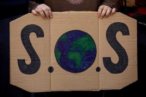 Amigos de la Tierra y Greenpeace alertan de la pérdida de biodiversidad y piden medidas 