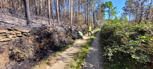 Detectado un nuevo incendio forestal en Cerdedo-Cotobade (Pontevedra) que quema ya 10 hectáreas