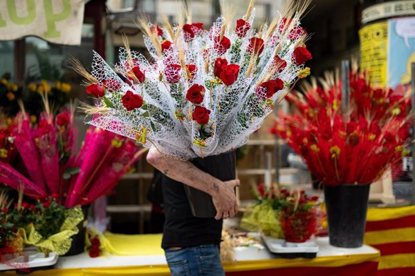 Las ventas de rosas rozan los siete millones de unidades, según el Gremi de Floristes