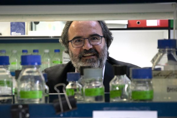 Pere Estupinyà y Lluís Montoliu, galardonados con los Premios CSIC-Fundación BBVA de Comunicación Científica