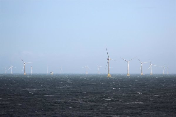 EDP refuerza su inversión en Australia con la adjudicación de 1,3 GW de capacidad eólica marina a Ocean Winds
