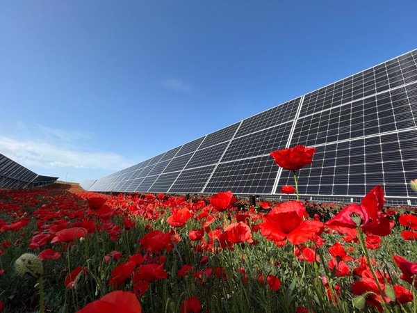 Solaria ejecuta la mejor compra de módulos fotovoltaicos de su historia, un 71% más barato que en 2022