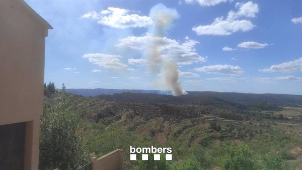 El incendio de Horta (Tarragona) está estabilizado en Cataluña y quedan humo y brasas