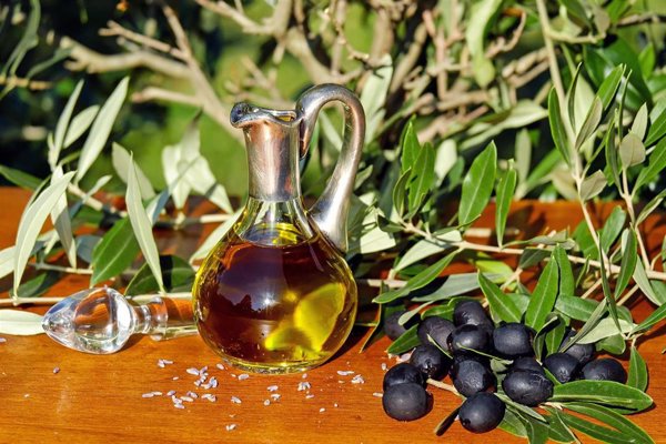 Planas destaca la importancia del aceite de oliva español y defiende su promoción nacional e internacional