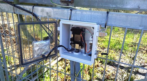 Crean un sistema en IA para analizar, a través del canto, el impacto del cambio climático en las aves de Doñana