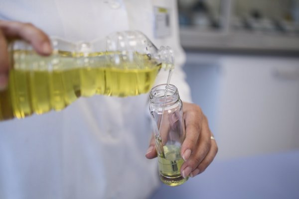 Una investigación valida el aceite de orujo de oliva como sustituto graso en la elaboración de productos de repostería