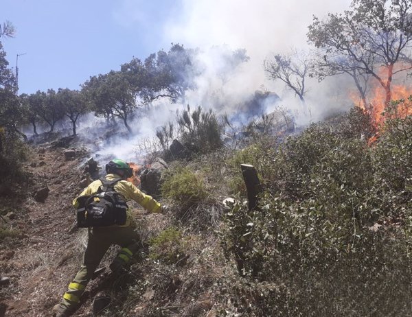 El Infoca trabaja en la extinción de un incendio forestal en Polopos (Granada)