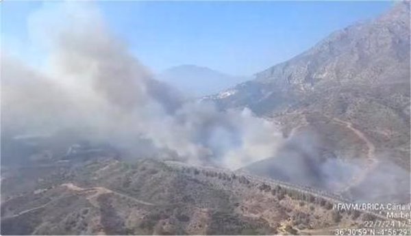 Declarado un incendio forestal en Marbella (Málaga)