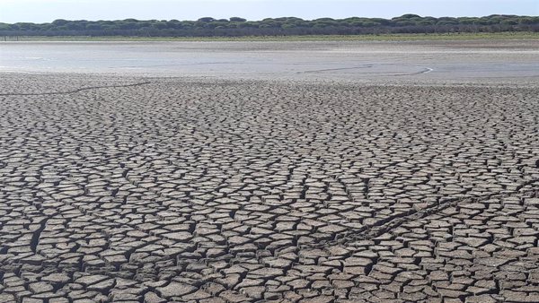 WWF, antes de los JJOO de París, advierte de los récords que no hay que cumplir: De temperaturas, deshielo o incendios