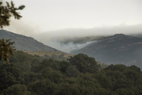 Extinguido el incendio de Oímbra (Ourense) tras quemar algo menos de 27 hectáreas