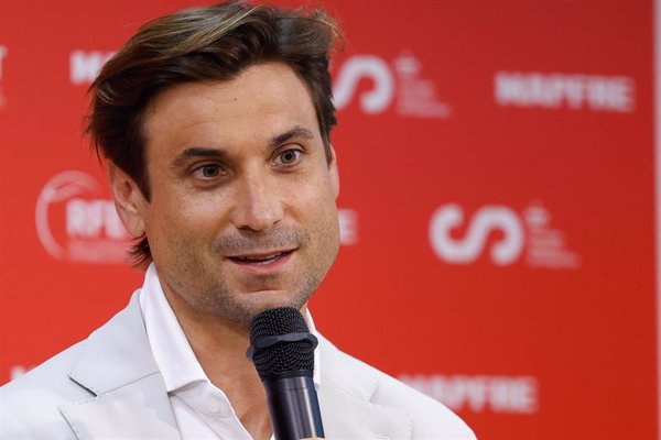 David Ferrer: 