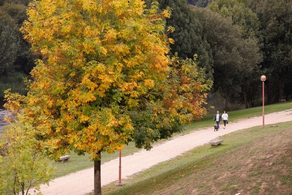 Otoño 2024 traerá temperaturas superiores a lo normal en toda España y probablemente menos lluvias en oeste y Canarias