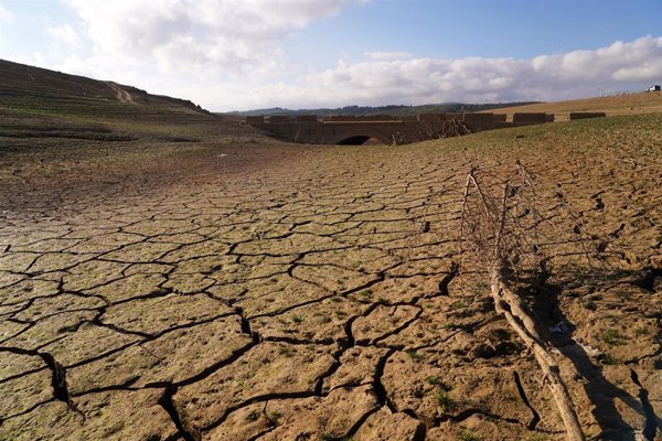 El año 2023 fue el más seco para los ríos del mundo en 33 años, según la Organización Meteorológica Mundial