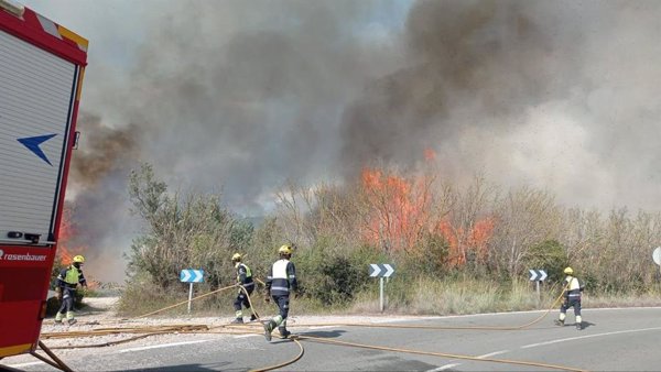 Bomberos de Mallorca e Ibanat actúan en un incendio en s'Albufera