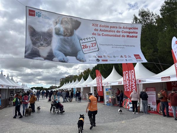 Un total de 237 perros y 76 felinos encontraron nueva familia en el Salón de Adopción de Madrid del pasado fin de semana