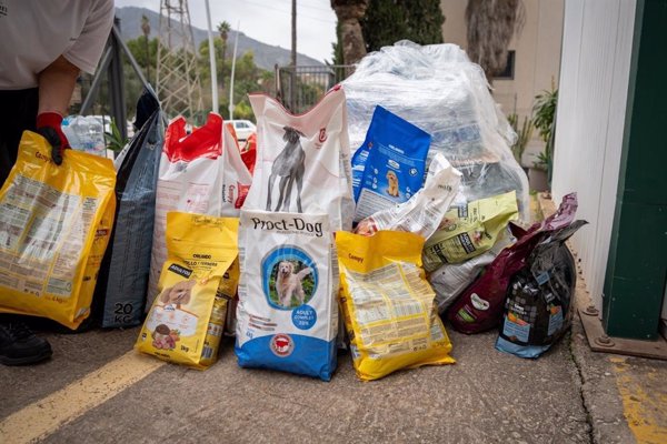 Torremolinos (Málaga) hace llegar pienso y productos a protectoras de animales afectada por la DANA