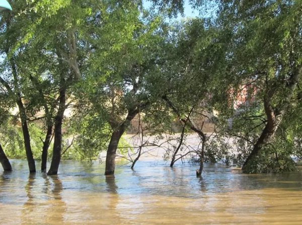 Confederación del Ebro aumenta la vigilancia ante las fuertes lluvias y advierte de posibles crecidas súbitas