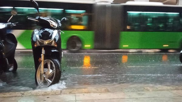 El Ayuntamiento de Palma cierra los parques y jardines ante la previsión de fuertes lluvias y tormentas