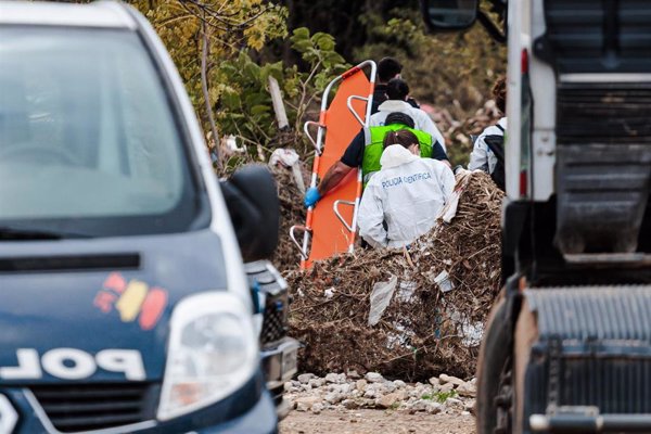 Hallan un cuerpo en un descampado de Sedaví dentro de los trabajos de búsqueda de desaparecidos por la DANA