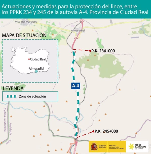 Transportes licita por 1,25 millones las obras de la A-4 entre Almuradiel y Despeñaperros para proteger el lince ibérico