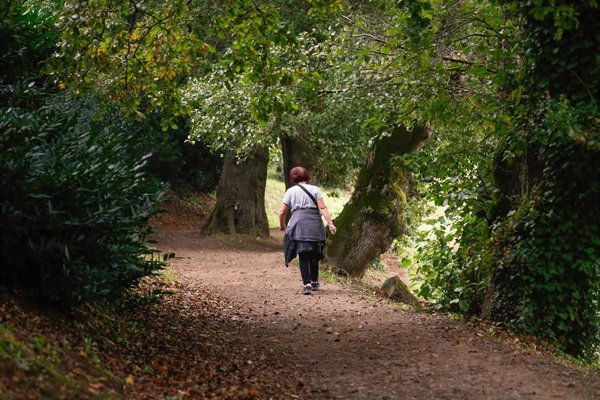 Las máximas subirán hoy y podrían superar los 30ºC en Canarias, en un día con avisos por niebla en C-LM y CyL