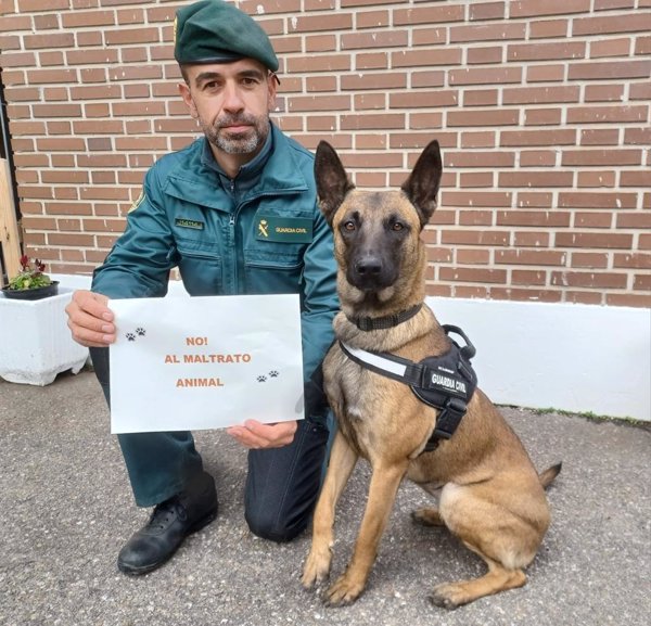 Investigan a una persona que agredió 