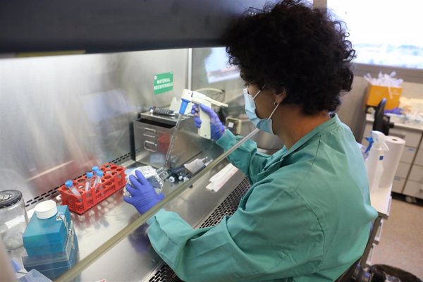 La Asociación Española de Genética Humana celebra la aprobación de la especialidad de Genética por la Comisión de RRHH