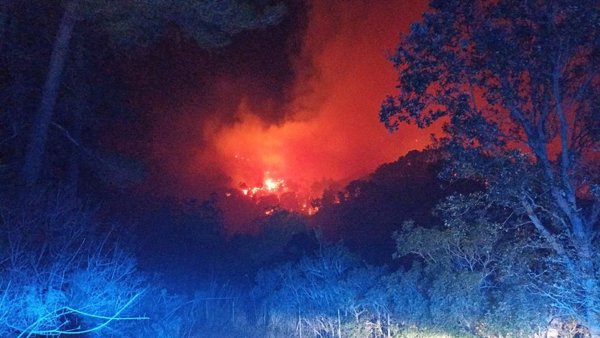 Un incendio forestal en Andratx (Mallorca) obliga a desalojar tres viviendas y quema unas 50 hectáreas