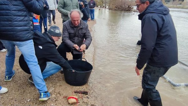 Liberan 50 esturiones europeos en el Ebro en Tivenys (Tarragona) para recuperar su población