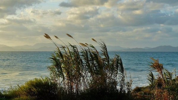 El Gobierno canario suspende este lunes las clases en El Hierro, La Gomera y seis municipios de Tenerife por el viento