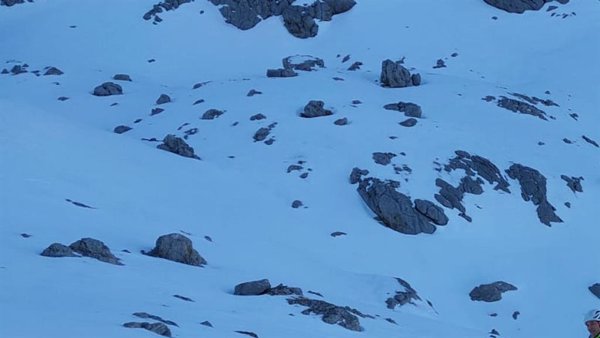 Cantabria pide que se sume la UME a la búsqueda del joven perdido en Picos de Europa