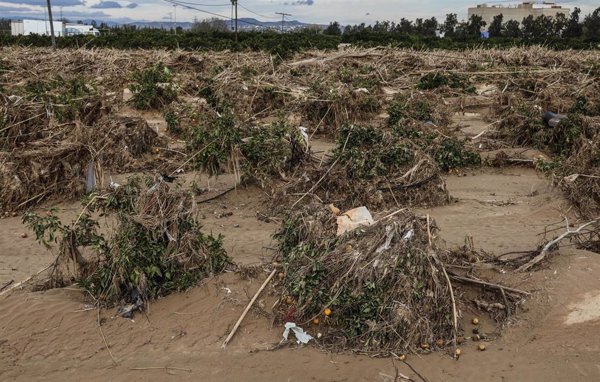 El Consell autoriza la quema residuos vegetales agrícolas o forestales tras la riada por razones fitosanitarias