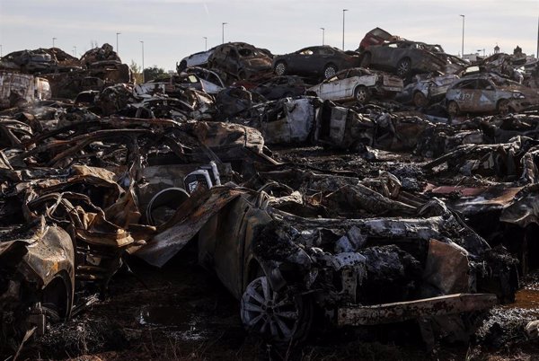 Bernabé subraya la disposición del Gobierno para ayudar a extraer los coches dañados por la dana de las campas