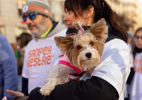 El mercado de alimentación para mascotas encadena dos años creciendo a doble dígito