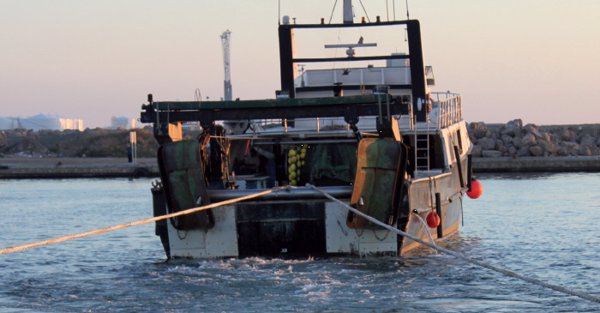 El sector pesquero, resignado a cambiar los copos de las redes para recuperar días de pesca en Mediterráneo