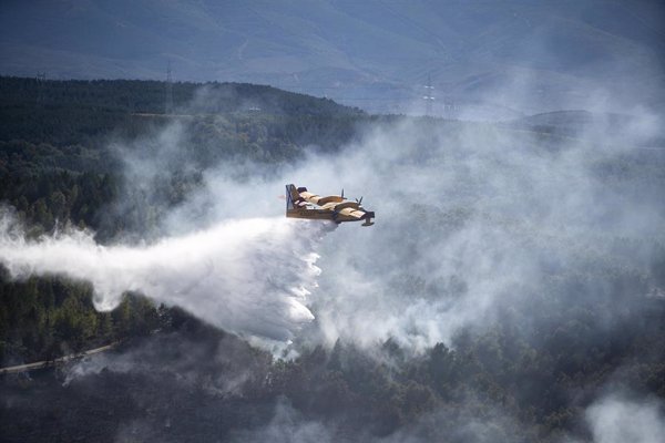 Medios aéreos y terrestres acuden a sofocar un doble incendio en los márgenes del Río Segura en Abarán (Murcia)