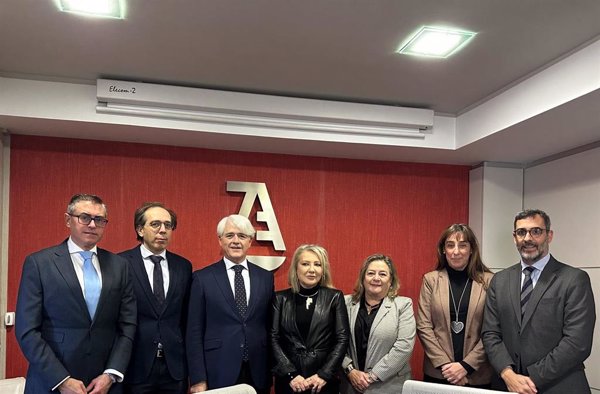 Abogacía y abogados de familia acuerdan profundizar su colaboración para conocer 