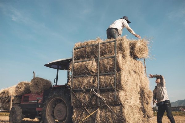 Unión de Uniones pide al Gobierno la prórroga de límites del régimen simplificado y especial agrario del IVA