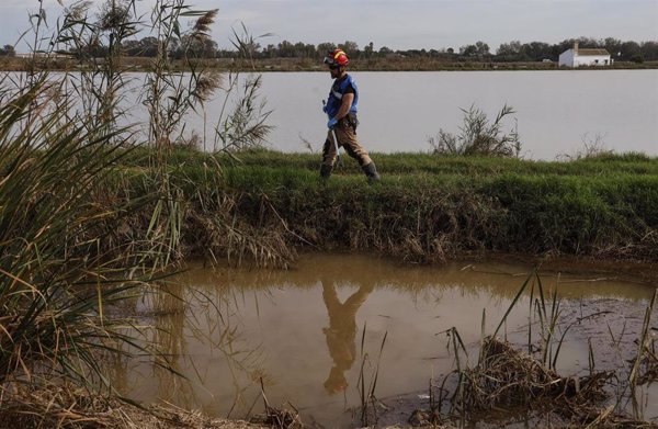 Organizaciones ecologistas reivindicarán la 